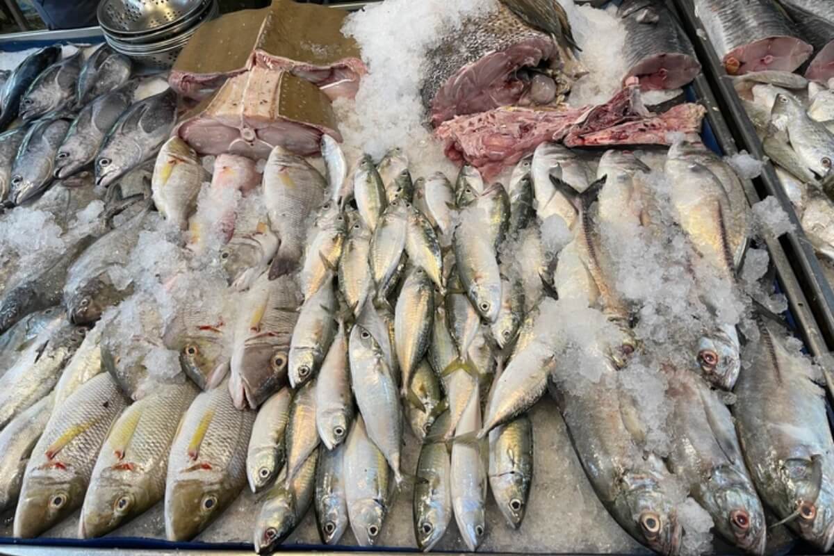 骨の多い魚と発酵調味料、ベトナム食文化の奥深さ