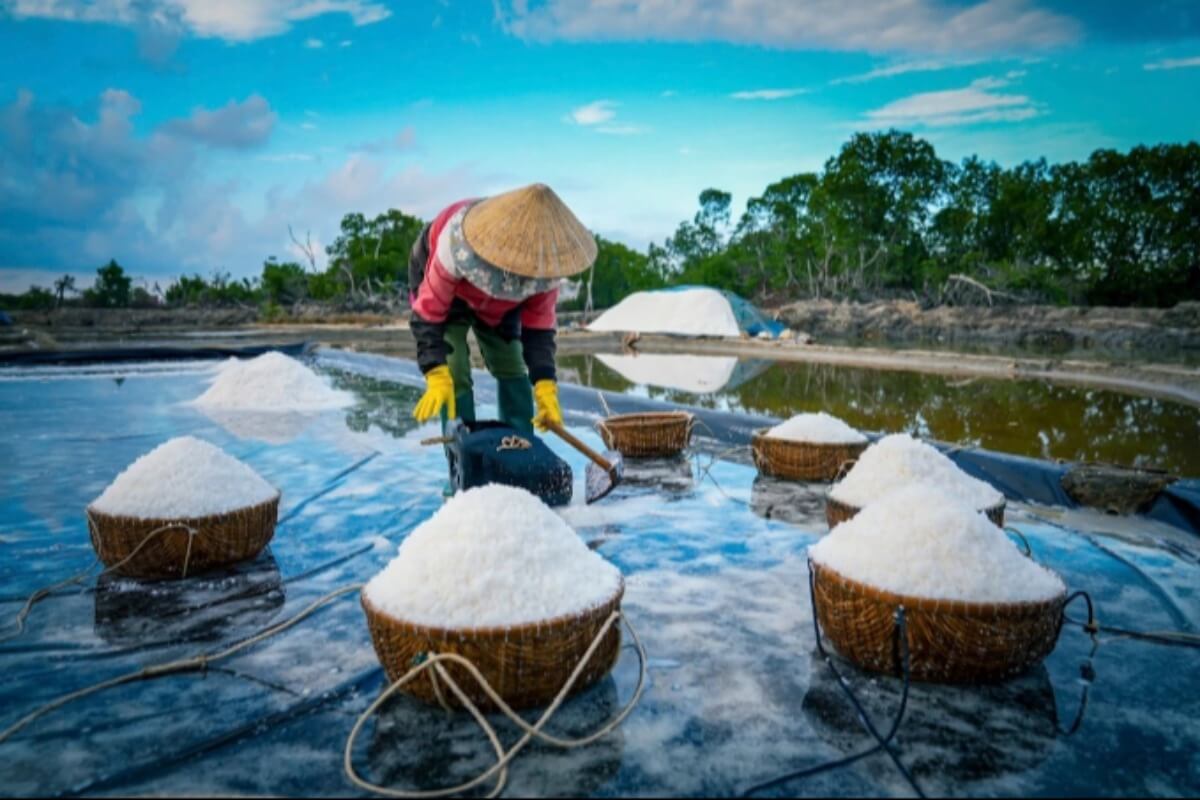 ホーチミンの食生活に注意、塩分摂取がWHO基準の約2倍