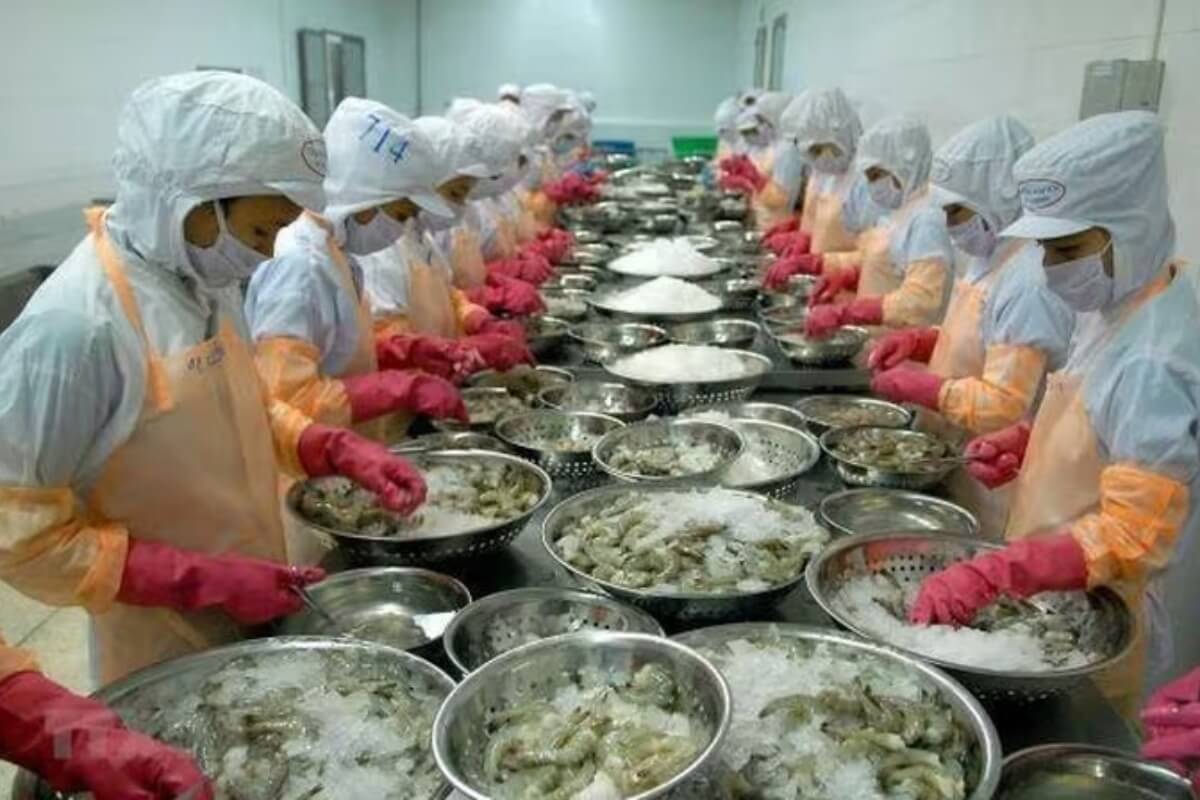 ベトナムの対日水産物輸出、過去最高水準に接近