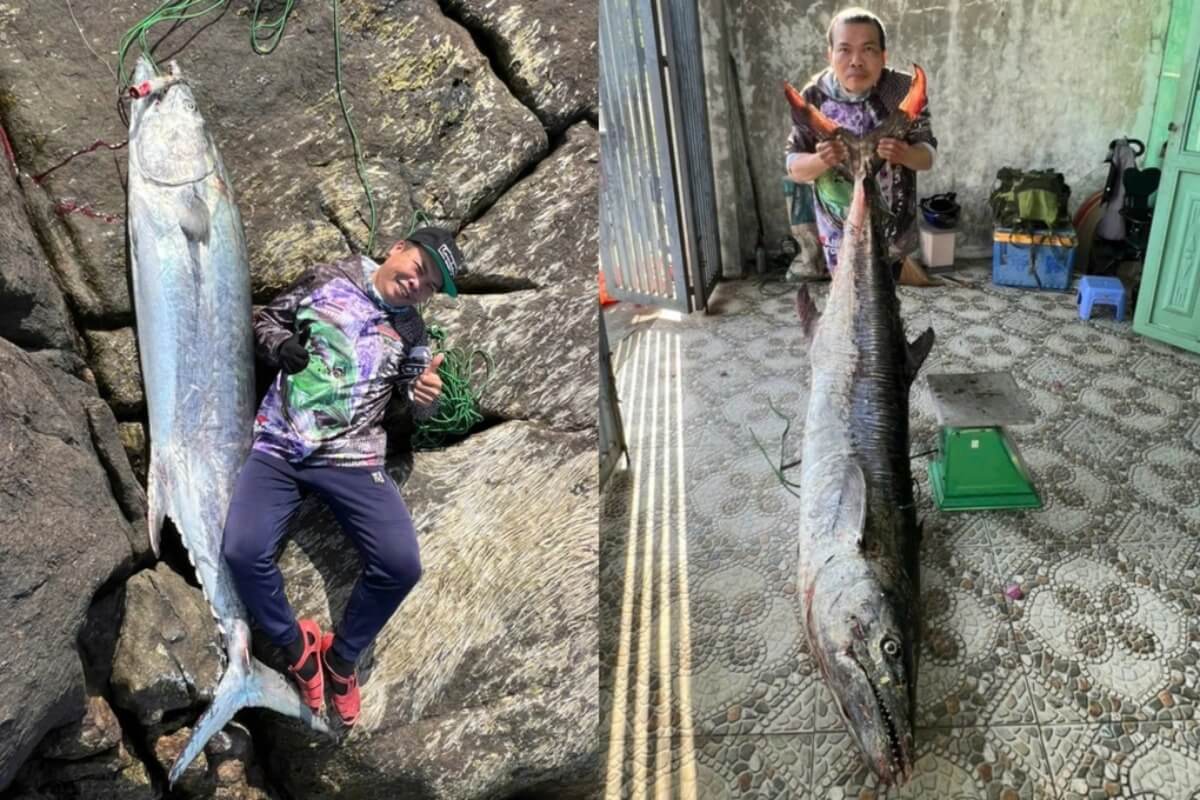 ダナンで巨大サワラ釣り上げ、全長1.7m・重さ63kgの大物