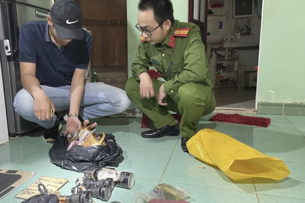 大規模な犬窃盗組織を摘発、5200匹以上を違法取引