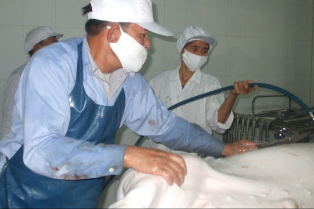 ハノイの食肉処理施設、600箇所で安全性が課題