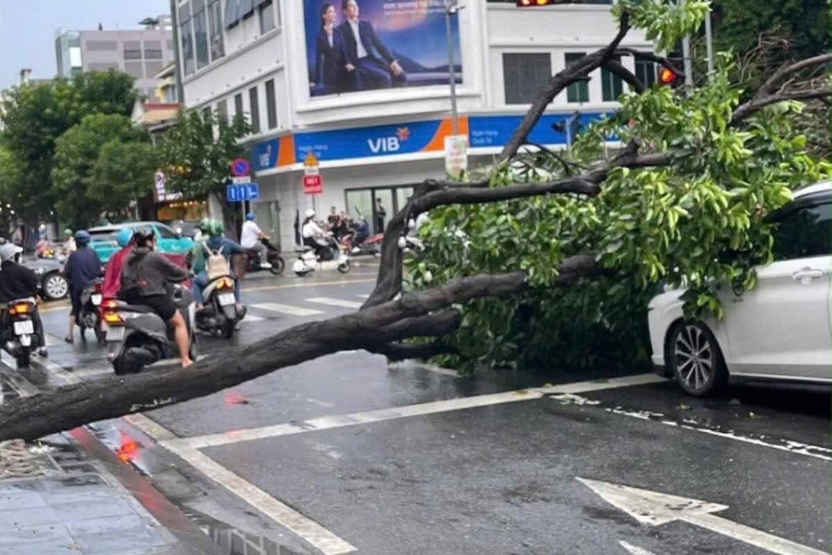 信号待ちの車に突然直撃、倒木事故と冠水が同時発生