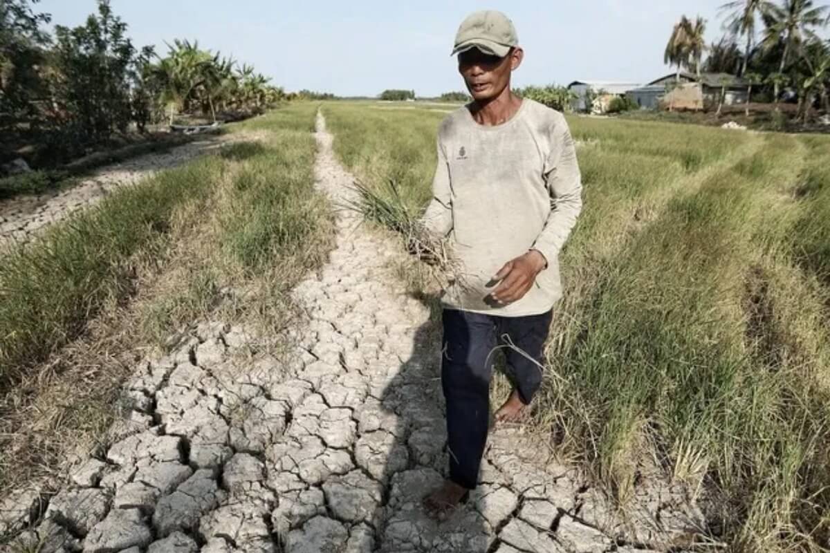 強いエルニーニョ発生確率63％、水利当局が貯水対策強化