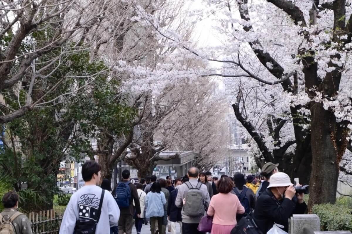 日本旅行が高騰、ビザ5倍でベトナム人が渡航見直しへ