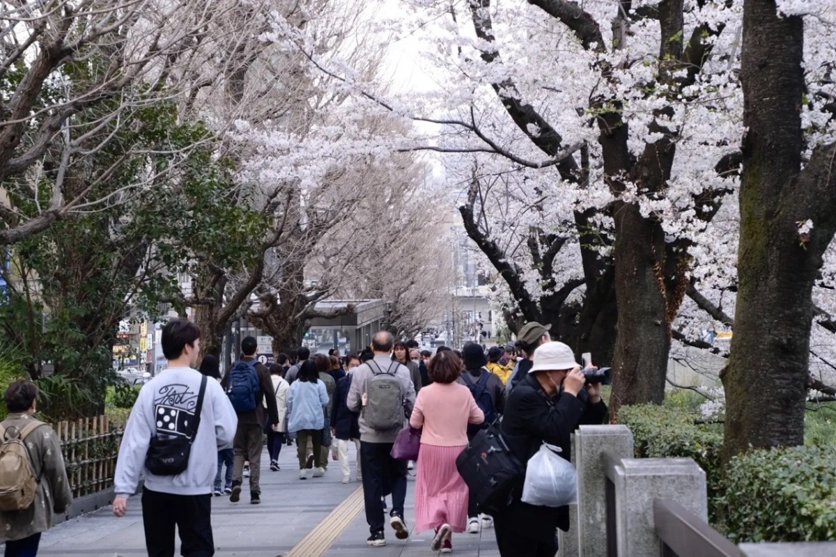 日本旅行が最大3割安に、チャーター便でベトナム人旅行者が急増