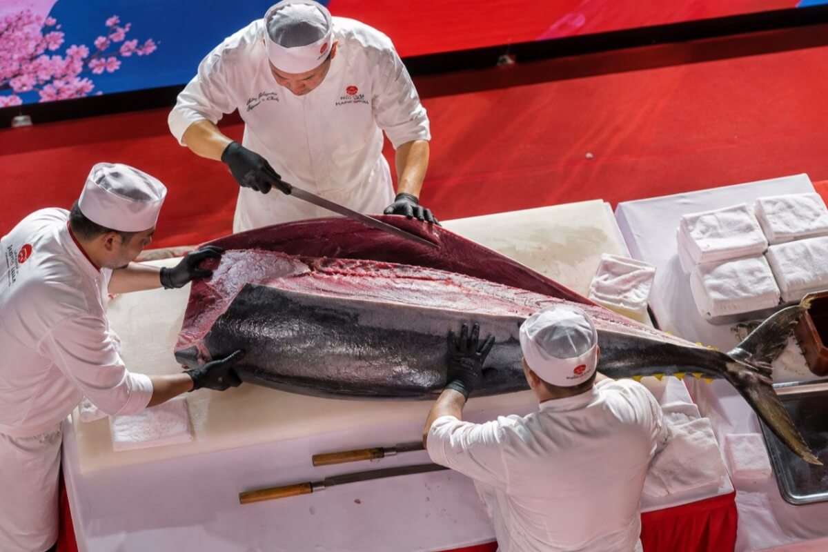 総額10億ドンのクロマグロがハノイ上陸、220kg解体ショーに注目集まる