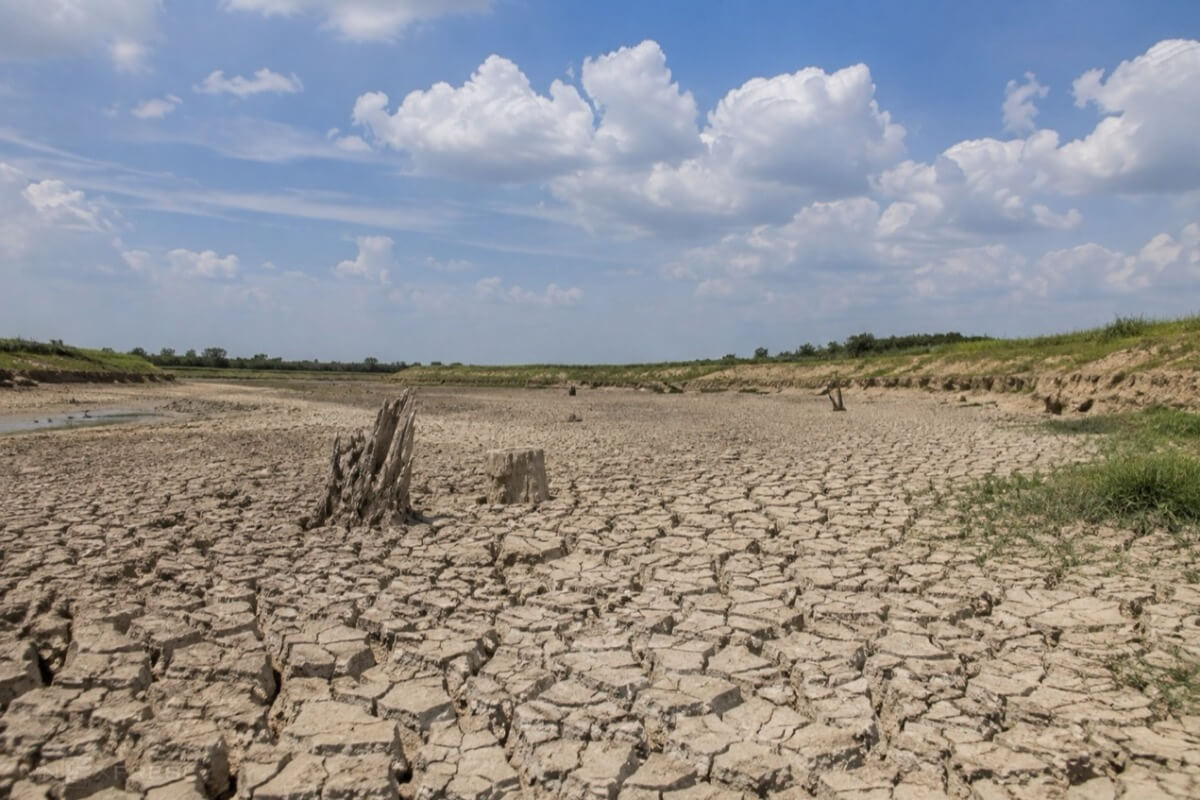 ベトナムに非常に強いエルニーニョ接近、最大36万haで水不足の恐れ