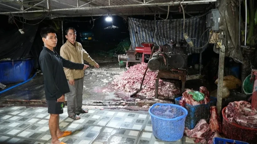 病気・死亡した豚約400トンを食肉として流通、ドンナイ省で9人逮捕