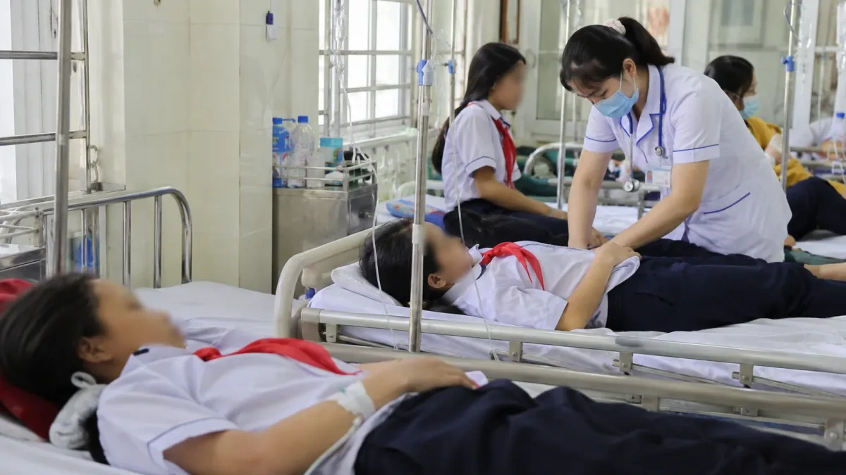 クアンチ省の中学校でミツバチが集団襲撃、生徒27人が病院搬送