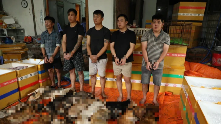 窃盗団から犬肉10トン超を購入、飲食店経営者4人を逮捕　ホーチミン市公安