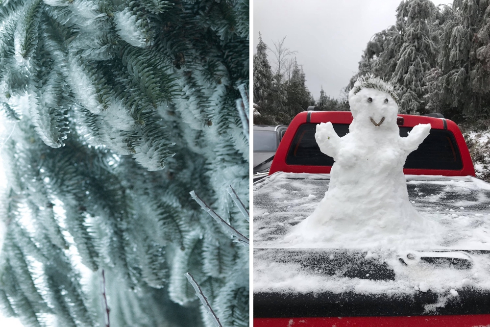 ベトナムで積雪、雪景色で写真撮影する観光客