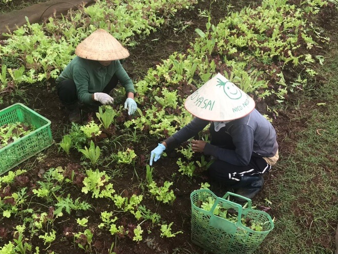 無印良品ホーチミンが生鮮食品の販売開始
