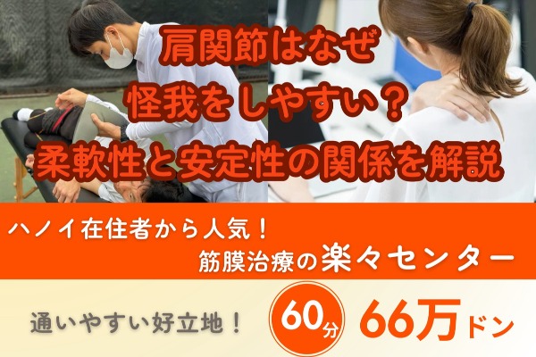 肩関節はなぜ怪我をしやすい？柔軟性と安定性の関係を解説｜楽々センターの筋膜治療60分66万ドン
