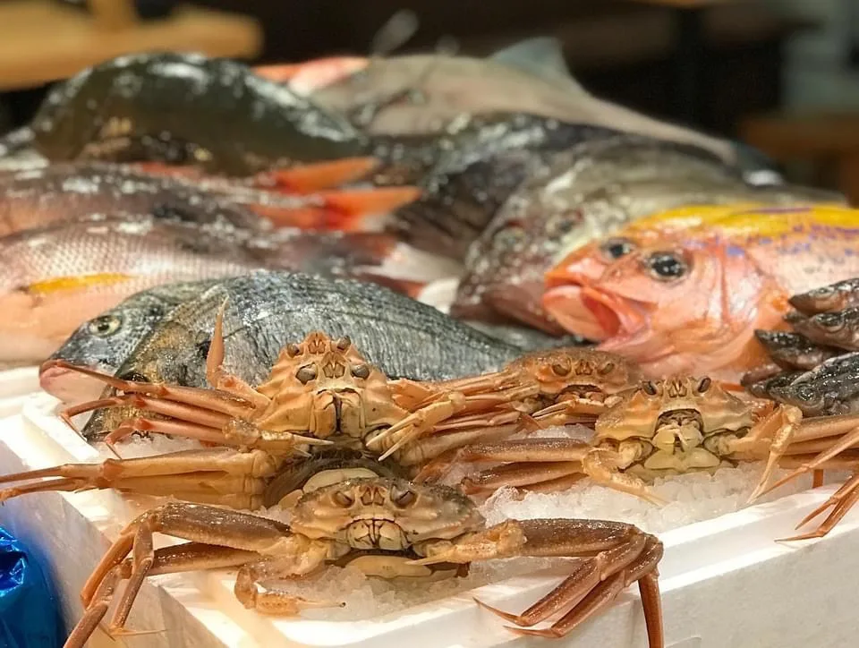 魚王魚王（UOUO）