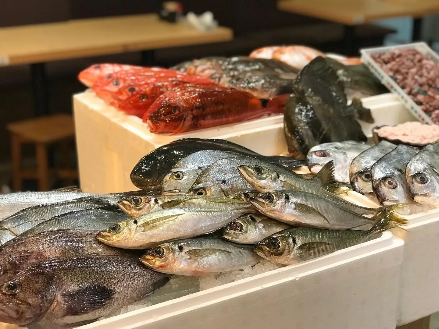 魚王魚王（UOUO）