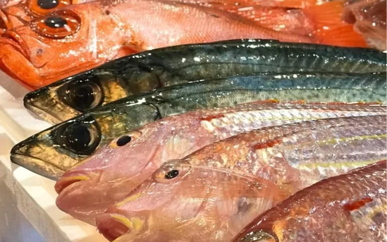 魚王魚王（UOUO）